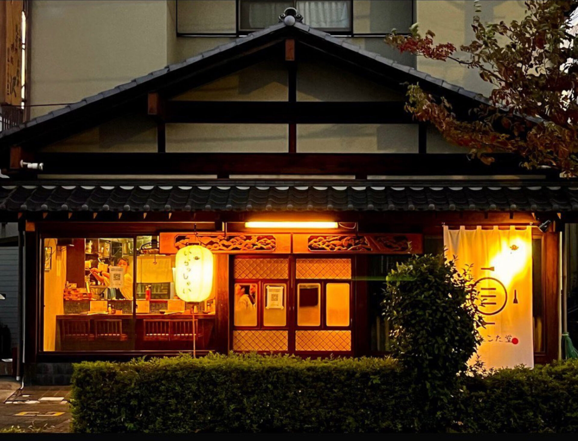 こたこた 食堂酒場こたこた堂